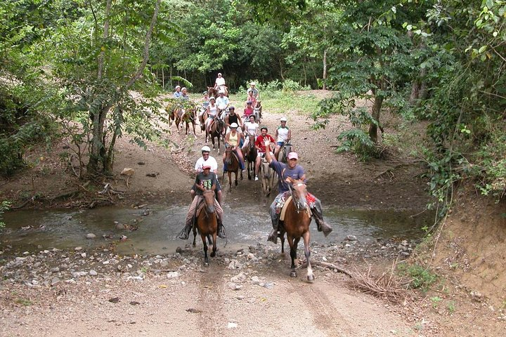  Bayahíbe Horseback Riding & River swimmig - Photo 1 of 5